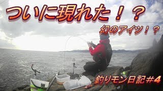 #4【下田横根】表本場でシマアジを狙う！釣りモン日記