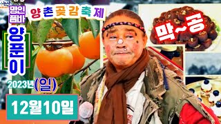 품바양푼이 양촌곶감축제 2023년12월10일(일) 막 ~공