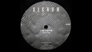 Signum - What Ya Got 4 Me (1998)