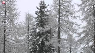danger pattern (dp) 1 - deep persistent weak layer