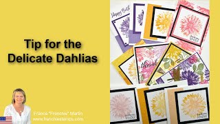 Tip for the Delicate Dahlias