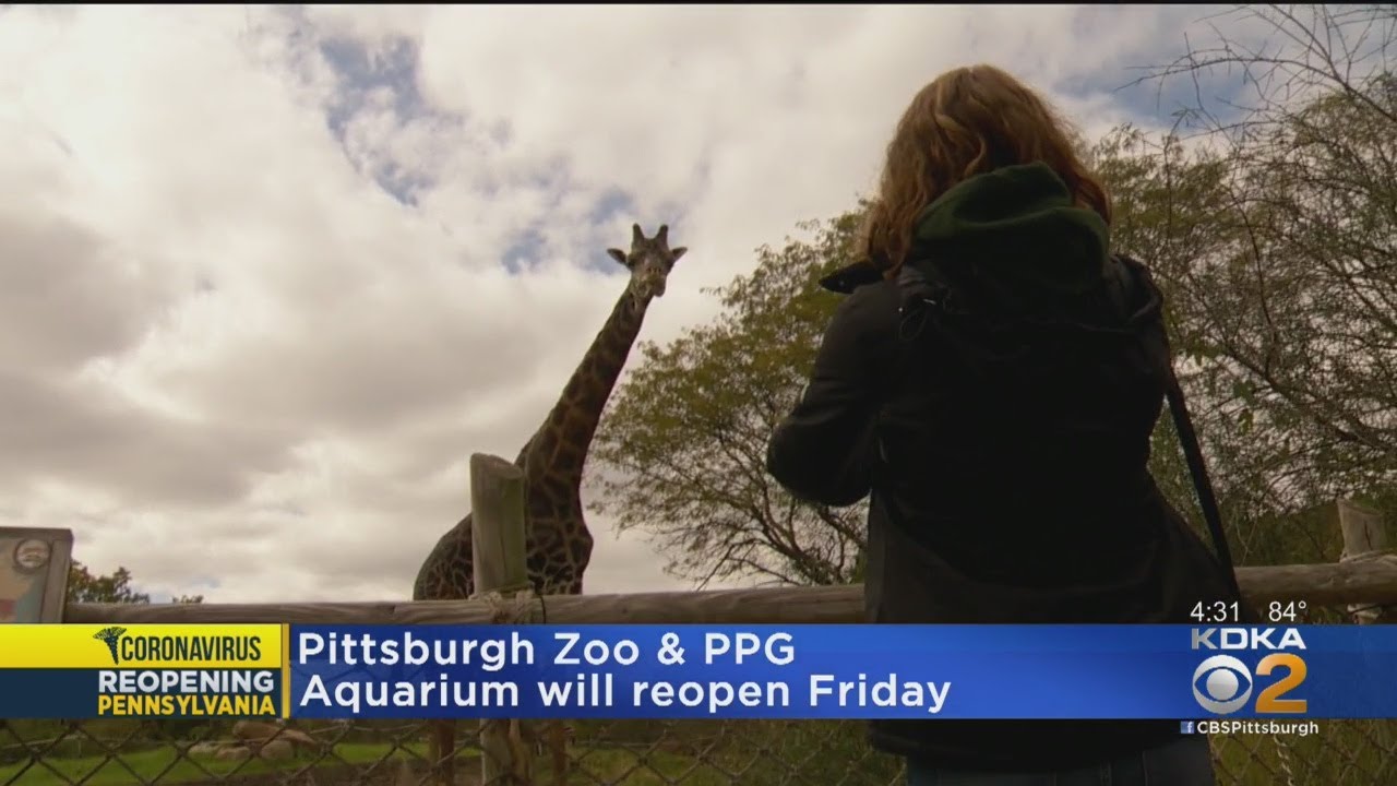 Pittsburgh Zoo, PPG Aquarium To Reopen Friday - YouTube