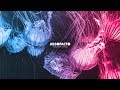 Absofacto x Kranium - Two Wrongs (Audio)