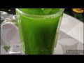 nimbu pudina sharbat lemon mint juice summer recipe reeta s kitchen