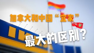 加拿大和中国“宜家”最大的区别是什么？看完就全知道了