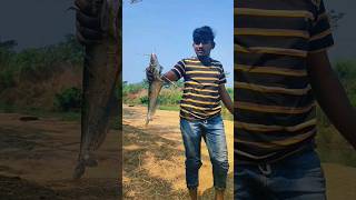 ఆదివారం రోజు గోదావరి కాలువలో పెద్ద చేపల వేట #vlog #food #fishing #godavari