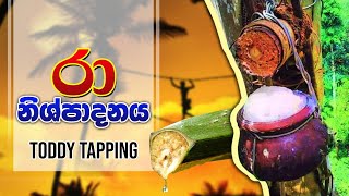 BST Saman, Toddy Taping,රා නිෂ්පාදනය, තාක්ෂණවේදය, SFT,Biosystems Technology,