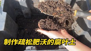 制作腐叶土的方法很简单，疏松肥沃，拿来养花种菜长势旺盛