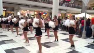 Hoover cheerleaders