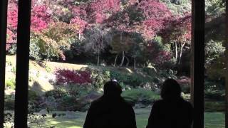 清水寺本坊の庭園２０１４