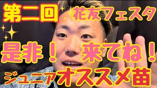 【多肉植物】【ガーデニング】✨第二回✨花友フェスタ‼️ジュニア👍オススメ苗🌱2023年5月11日