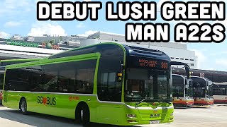 SMRT Lush Green MAN A22s on the move