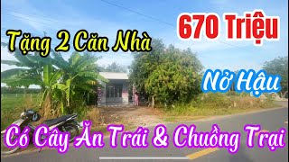 Tập 90 🏡🍀Bán Đất Tặng 2 Căn Nhà Trên Đất 💥  Đủ Loại Cây Ăn Trái và Chuồng Trại