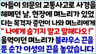 [반전사이다사연] 아들이 의문의 교통사고로 사경을 헤메던 날, 현장에 며느리가 있었다는 목격자 증언이 나와 며느리에게 \