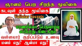 கடவுள் தந்த ஞானம் பெற சிறந்த மூலிகை | vallalar History | motivation | universe | god | RTR FRAME