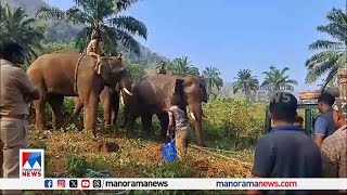 അതിരപ്പിള്ളിയിൽ മസ്തകത്തിൽ മുറിവേറ്റ ആനയെ മയക്കുവെടി വച്ചശേഷം വാഹനത്തില്‍ കയറ്റുന്നു | wildelephant