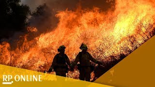 Waldbränden in Kalifornien - Mindestens zehn Tote