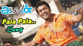 பளபளக்குற | Pala Palakura Video Song | Ayan Video Songs | Harris Jayaraj Hits | Surya | Tamannaah |