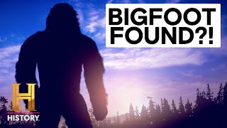 The Proof Is Out There: 5 Mysterious Bigfoot Encounters