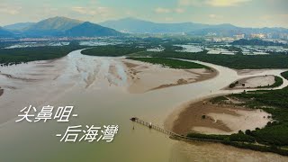 Wetlands in Hong Kong