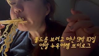 (vlog)연말 뉴욕여행 9박10일 (볼드롭ㅣ피터루거ㅣ뉴욕여행ㅣ여행브이로그ㅣ덤보ㅣ소호ㅣ자유의여신상ㅣ미국여행ㅣ워싱턴디씨ㅣ워싱턴디씨여행ㅣ뉴욕클럽ㅣ연말뉴욕여행ㅣ엘랜스스타더스트ㅣ버드랜드)