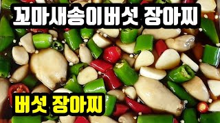 새송이버섯 장아찌/버섯장아찌 만들기/꼬마새송이버섯씻는법/꼬마새송이버섯으로 장아찌를 만들어보세요