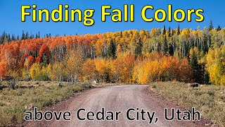 Fall Colors Above Cedar City Utah