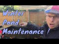 Winter Pond Maintenance | koi fish pond in winter UK fishes