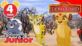 The Lion Guard | Magical Moment: Fire From The Sky 🦁 | Disney Kids