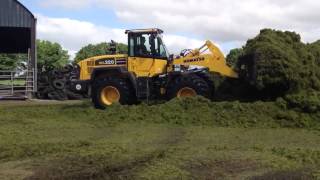 Silage 2013