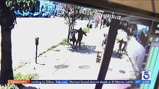 2 women randomly attacked on Ventura Boulevard in Sherman Oaks