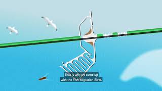 Fish Migration River (animation)