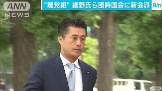 「やれるなという感触」細野氏らが新会派結成を検討(17/08/29)