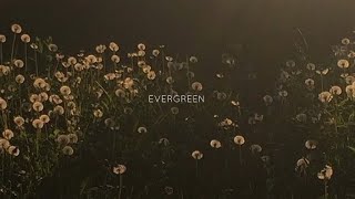 Evergreen - Omar Apollo (lyrics)