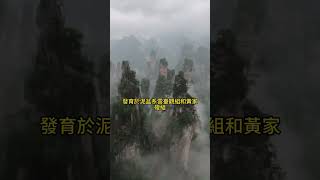 奇峰三千，秀水八百的張家界 ，電影《阿凡達》的取景地，美到令人窒息，溪流雲霧仿佛人間仙境！ #景點 #amazing #美景 #traveltip #旅游 #旅遊 #amazingchina