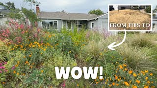 Before and AFTER! The Most Incredible Native Garden Tour Shows Us What Natives C