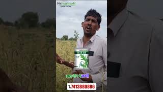 ग्वार की उन्नत किस्म | ग्वार से हुए किसान मालामाल | Guar Star 610 |