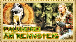 Greifenwarte „Falknerei am Rennsteig“