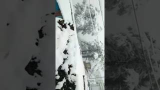 Dhanaulti snowfall 1/1/17