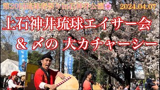 第20回琉球春祭りin石神井公園🌸 上石神井琉球エイサー会 〆の 大カチャーシー