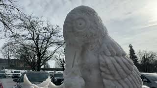 See the Zehnder's Snowfest 2024 final state of Michigan snow sculptures