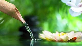 Relaxing Music and Sounds of Bamboo Water to Sleep - Relax Healing Music