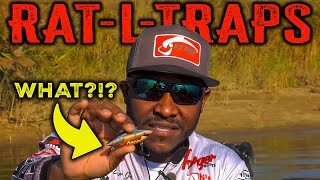 CRUSH Spring Bass w/ The BEST Rat-L-Trap Color + Tricks To Land More Fish