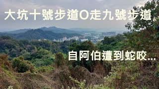 大坑10號步道修復完成囉！連走9號步道