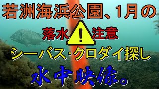 【落水注意】2020年1月17日 若洲海浜公園 人口磯でシーバス、クロダイ 朝マヅメ終わりごろ での魚探し 根の確認にも【水中映像】