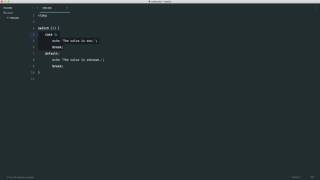 PHP Basics: IF statements and operators: Switch (17/35)