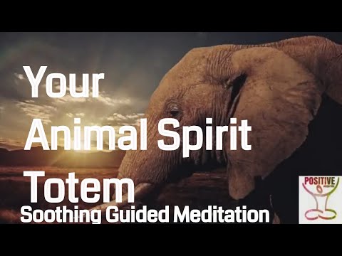 Meditation 10 Minutes Soul Searching Animal Spirit Totem Healing Guide Inner Calm Peace & Serenity Meditation 10 Minutes Soul Searching Animal Spirit Totem Healing Guide Inner Calm Peace & Serenity