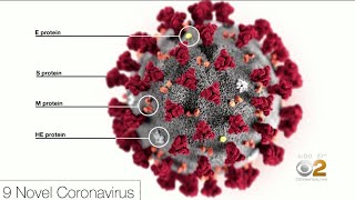 World Health Organization Declares Coronavirus Outbreak An International Health Emergency