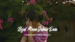 Bijol Mone Jolaw Ena ⚡New Santhali Aesthetic Slowed Chillout Relaxing Lo-fi Video | Lofi Video