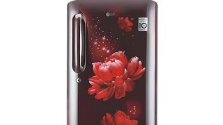 LG 224 L 4 Star Inverter Direct-Cool Single Door Refrigerator (GL-D241ASCY, Scarlet Charm Base stand